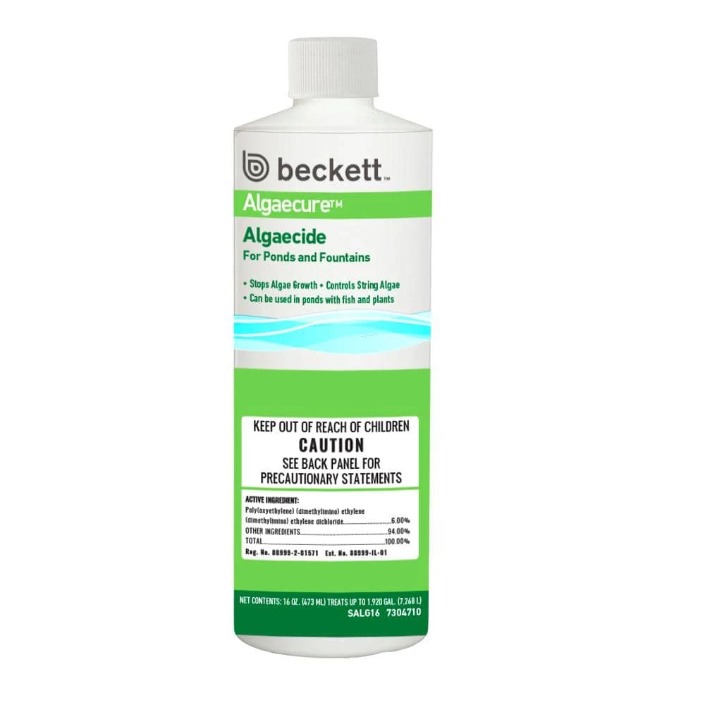 BECKETT 16 oz. Algaecide