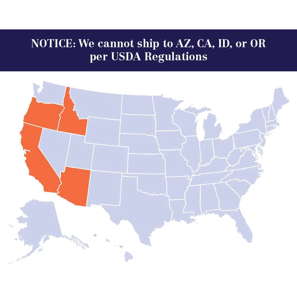 Brighter Blooms 5 Gal. Fuji Apple Tree - Image 5