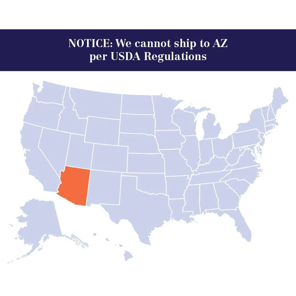 Brighter Blooms 3 Gal. Cordyline Rising Sun Plant - Image 5