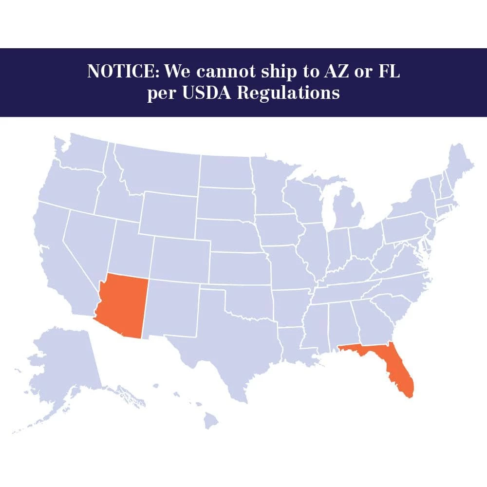 Brighter Blooms 5 Gal. Pink Dogwood Tree - Image 6