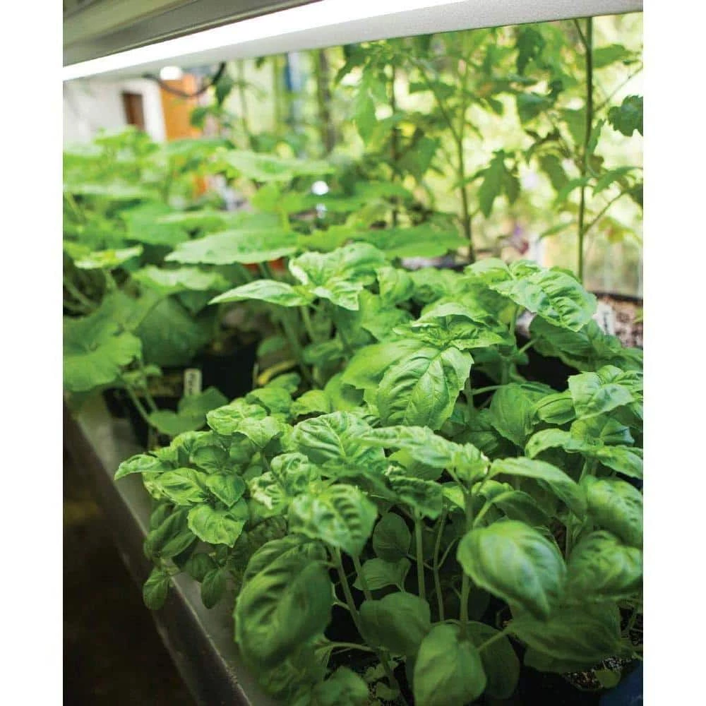 Feit Electric 8 in. 32-Watt Clamp Mount White Full Spectrum LED Non-Dimmable Indoor Plant Grow Light, Cool White - Image 7