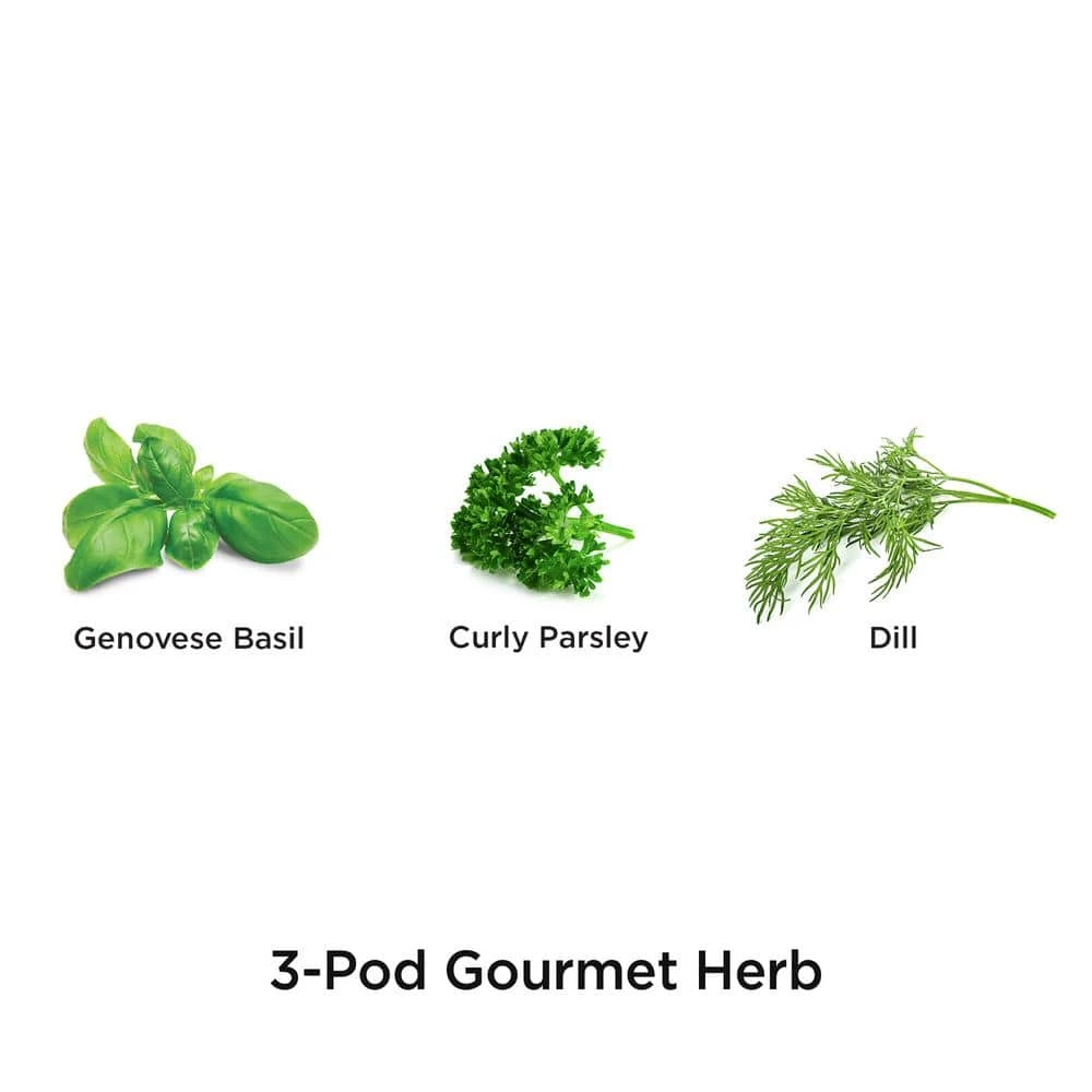 AeroGarden Gourmet Herb Seed Pod Kit (3-Pod) - Image 2