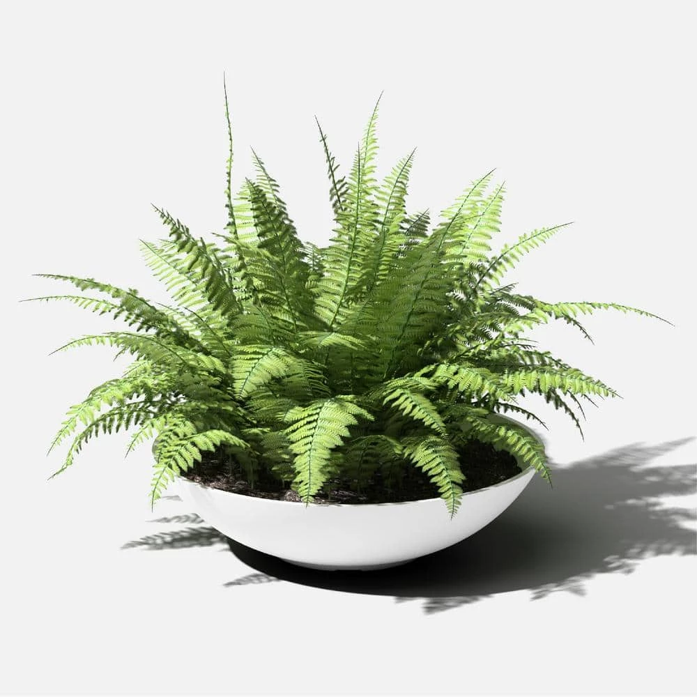 Veradek Lane Bowl 24 in. White Plastic Round Planter - Image 3